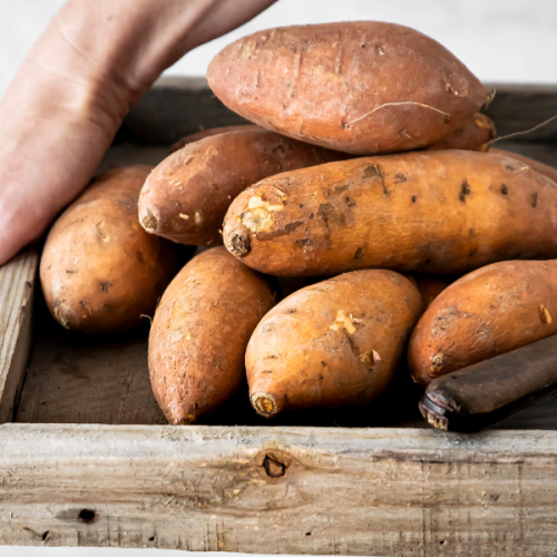 Batata-Doce: Alimento É Essencial Para Uma Dieta Saudável
